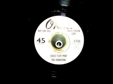 The Vibrations - Cause Your Mine