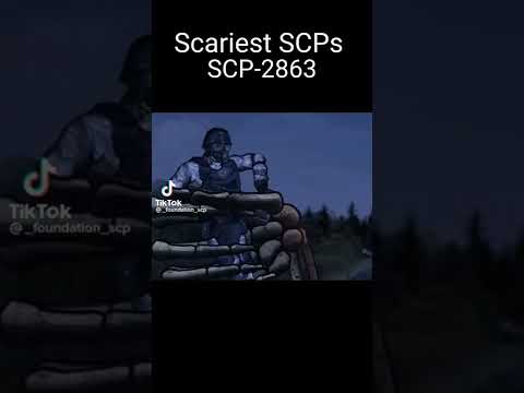 scp-2863