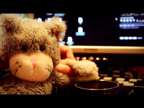 Video thumbnail for Mr. Mittens Groove