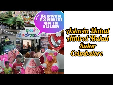 Flower exhibition in Coimbatore 💐🌹🌺#youtube #flowers #exhibition#konguslang #coimbtoreslang#slang