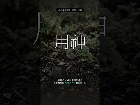 부족한 기운을 이름에 담다 | 용신과 이름
