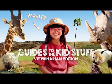Guides to the Kid Stuff: Future Veterinarian Edition - at the San Diego Zoo Safari Park