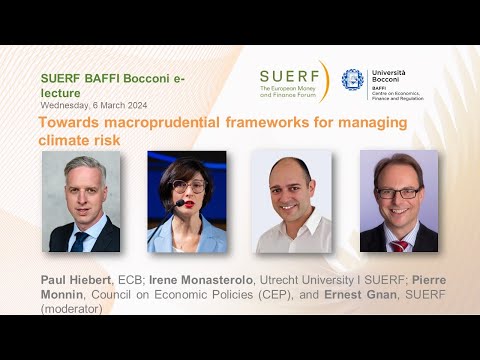 SUERF Bocconi Webinar - Macroprudential strategies for managing climate risk - ECB Report - 20240306