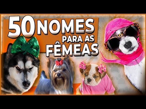 51 NOMES INCRÍVEIS e engraçados para FEMEAS - Porte grande ou pequeno #adestramentodecaes