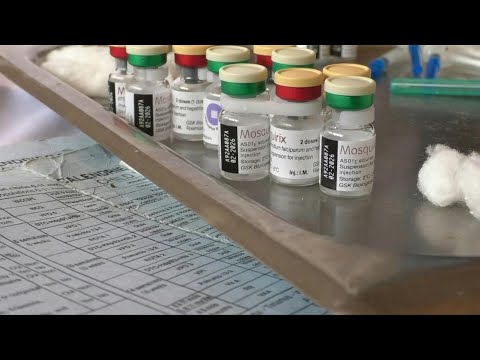 Cameroon launches historic large-scale malaria jab campaign | AFP