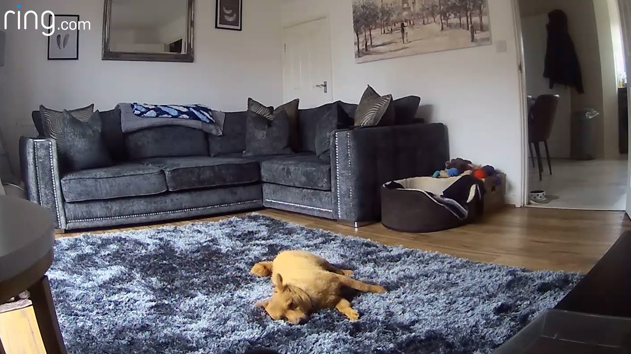 YouTube video preview