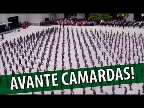 Avante Camaradas