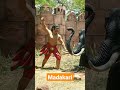 Veera Madakari