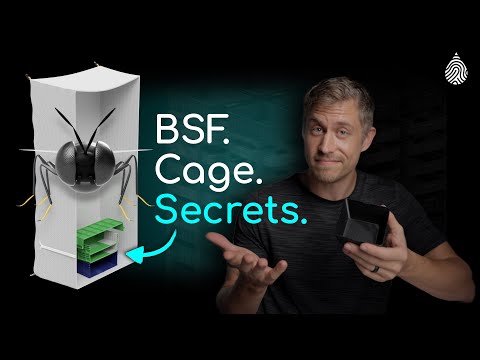 Black Soldier Fly Cage ESSENTIALS: BSF Egg Collection Made Simple