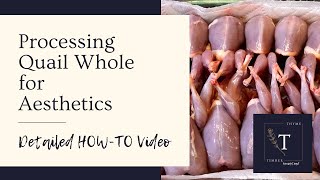 How to Process Quail Whole: Detailed Guide for Beginners