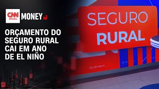 Vídeo: Corte no seguro rural deve pressionar custo de crédito do agro | RESENHA DO DINHEIRO