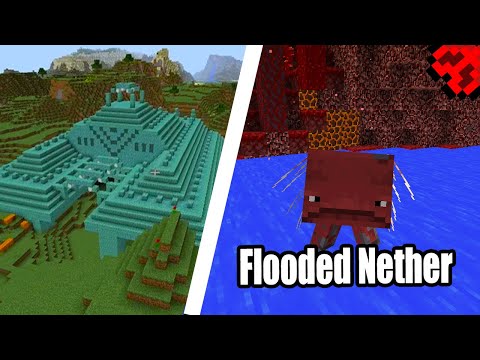 TheDerpyWhale - Java Edition Minecraft has had some Strange Glitches & Bugs...