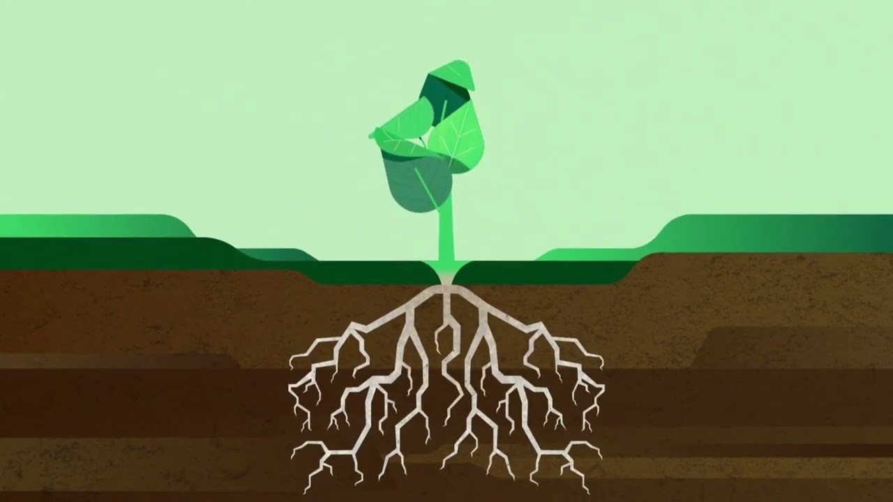 Video preview poster