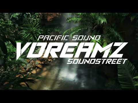 TNI ENVOYER x GOULAM x AYA NAKAMURA - JE VAIS TE SOIGNER, BOBO ( STS REMIX ) 2023