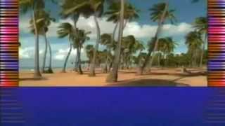 Eleventeen Eston - Panulirus Cygnus