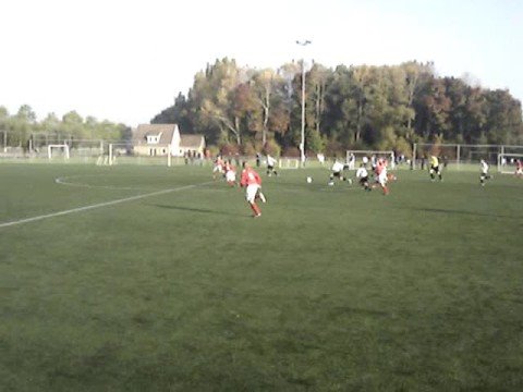 Wieldrecht D1 2008-2009