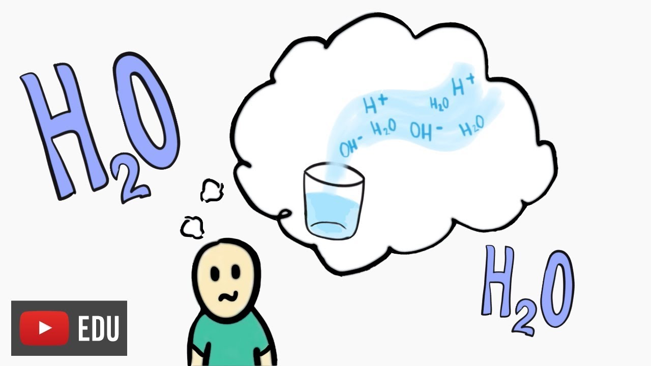 Beyond the molecular formula of water #InstanteBiotec 78