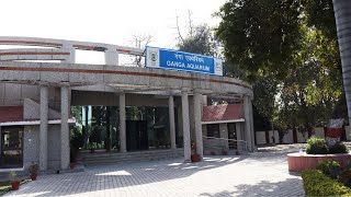 best aquarium gallery in lucknow ganga aquarium