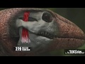 A EVOLUÇÃO HUMANA HUMAN EVOLUTION TIME LAPSE