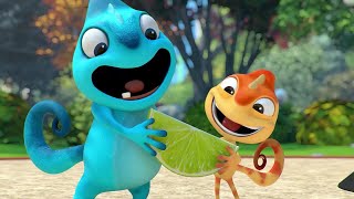 Download lagu Sour Treat | Cam & Leon | Best Collection Cartoon for Kids | New Episodes mp3