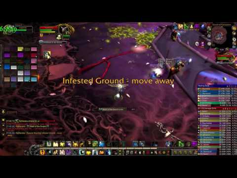 Heroic: Nythendra - Healer PoV