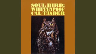 Soul Bird (Tin Tin Dao)