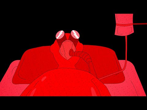 The Cure | A Short Film by Vivid Monkey A.K.A. Soujoy Kumar Bhowmick