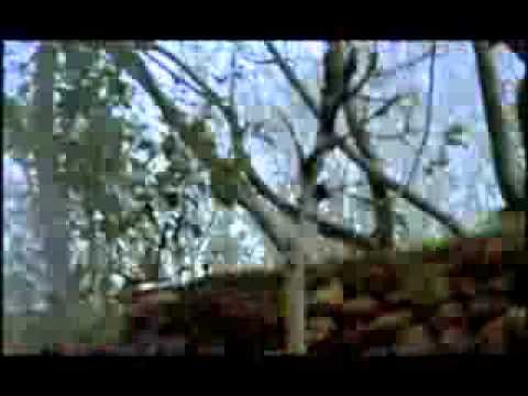 KANGNEQ MARDIK mpeg4