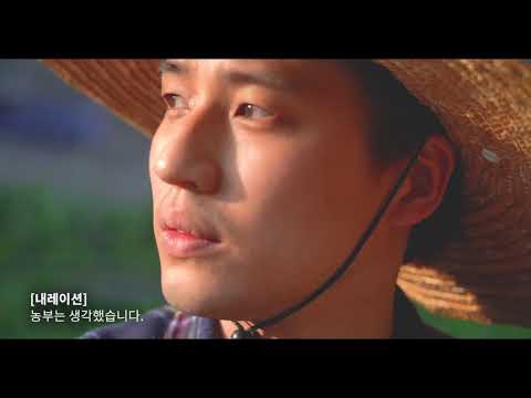 비디오 5