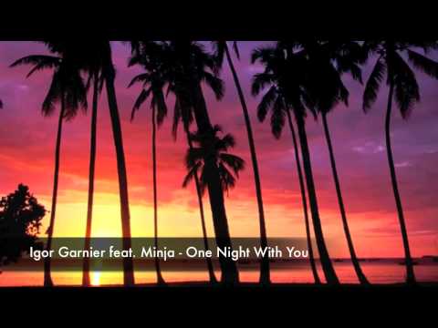 Igor Garnier feat. Minja - One Night With You