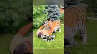 유튜브 썸네일