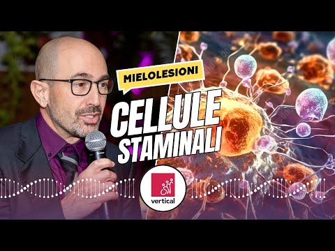 Nelle articolazioni degli arti inferiori Resezione del ginocchio che è