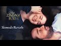Meri Zindagi Hai Tu Slowed Reverb New Lofi Song Asim Azhar Sabri Sister Kaisi Dillagi Hai Tu
