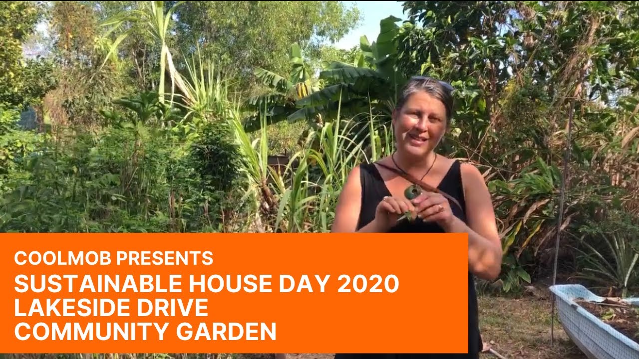 COOLmob - Sustainable House Day 2020 - Lakeside Drive Community Garden