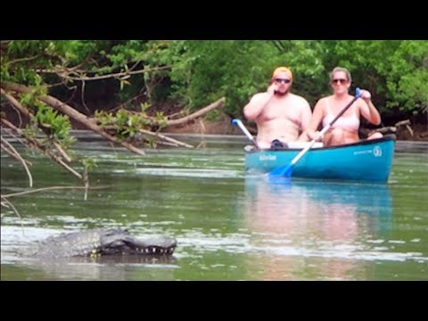 Remote Controlled Alligator Prank 2018 - Boat Cops Called!