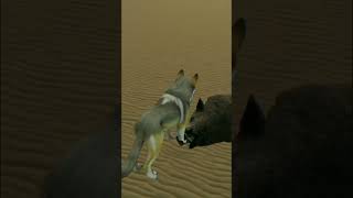 game playing wolf simulator 3D | gaming shorts videos| #shorts #gamming #trending #gamminwitharfodin