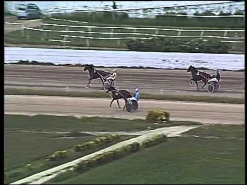 trotto 24/05/2015 - prova di riqualifica