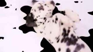 Video trailer för 102 Dalmatians (Official Teaser Trailer) [#2]