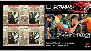 El Gato Amaga y no Araña - Cesar Pupy Pedroso (Tirso Duarte) / Dj Sammy Barbosa