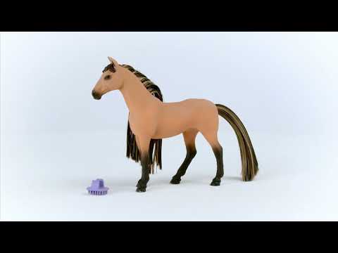 Beauty Horse Akhal-Teke Stallion