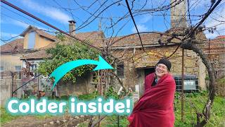 Did we survive the winter on the Portugal homestead?