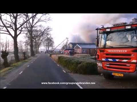 Stalbranden - Woudenberg - 30.000 kippen levend verbrand