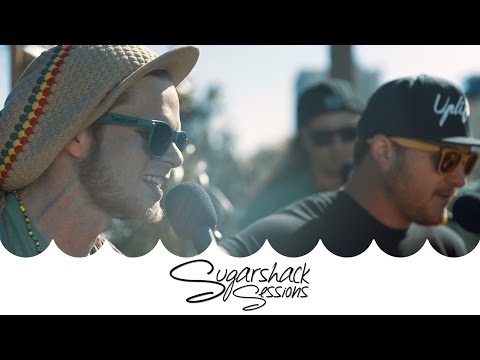 TreeHouse! - Look into the Stars (Live Acoustic) | Sugarshack Sessions