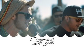 TreeHouse! - Look into the Stars (Live Acoustic) | Sugarshack Sessions