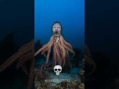 Octopus Can't be Scary 💀
