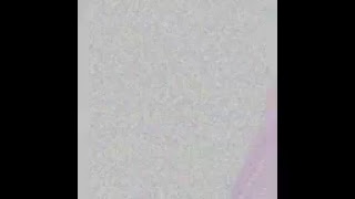 テステス