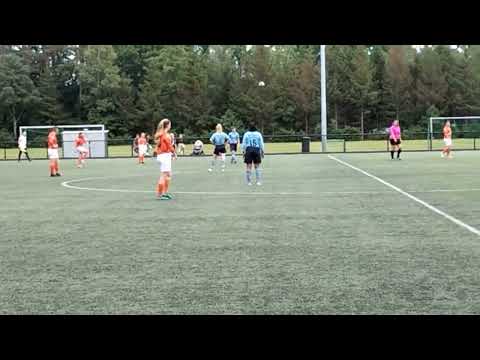 #vlog#van#bekende#abi#vv#dieren#vr1#dvv #duiven #vr1#samenvatting (3)