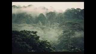 Wankelmut &amp; Emma Louise - My Head Is A Jungle (Gui Boratto Remix)