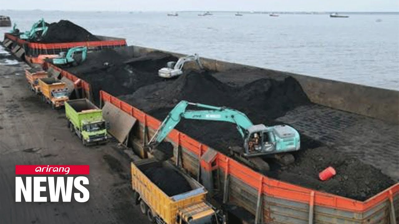 Indonesia releases 48 ships with coal following relaxing of export ban