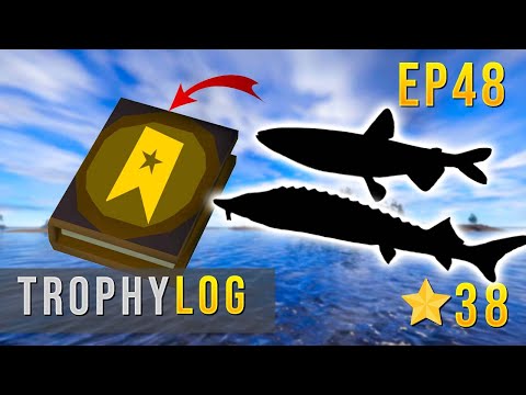 Russian Fishing 4 TROPHY LOG EP 48 - THIS FISH WAS A GIANT! #rf4 #russianfishing4